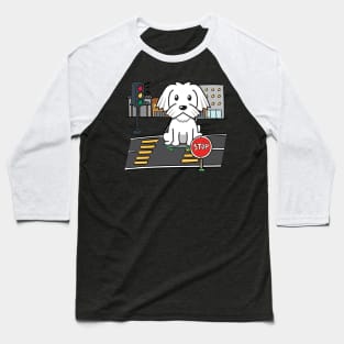 Cute white dog is skate boarding on the street Baseball T-Shirt